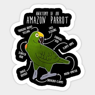 Yellow-crowned Amazon Parrot Anatomy Sticker